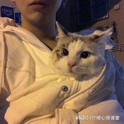 灵妖记小米版下载