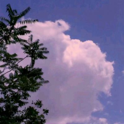 化妆小公主破解版下载